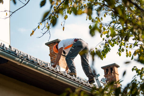 Best Roofing Contractor Near Me  in Bluffton, OH