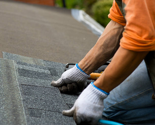 Best Roof Restoration Services  in Bluffton, OH